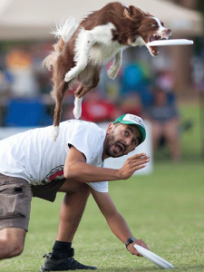 Matteo Flower Campioni Del Mondo Disc Dog