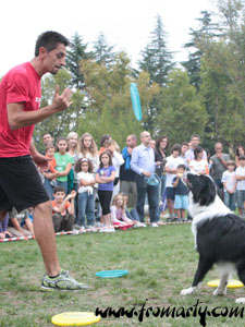 Spettacolo Frisbee Freestyle e Disc Dog