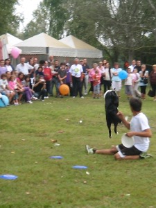 Frisbee Freestyle e Disc Dog