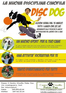 Corso Disc Dog