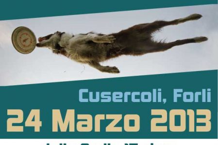 Risultati ChupasCabras Disc Dog Cup 2012