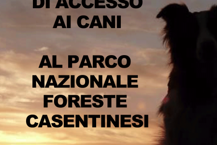 NO al Divieto di Cani Nel Parco Foreste Casentinesi