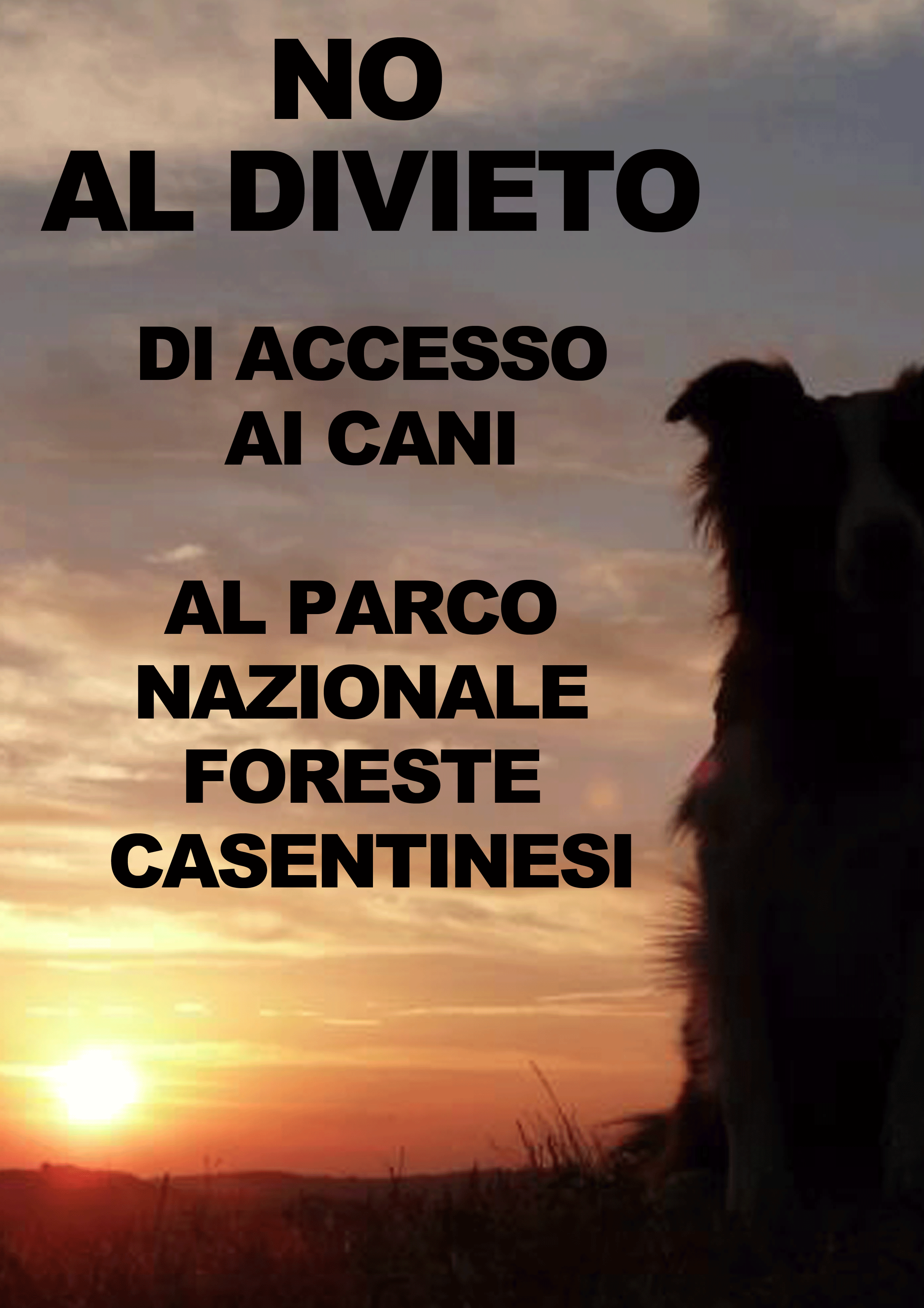 NO al Divieto di Cani Nel Parco Foreste Casentinesi