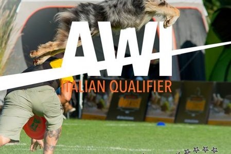 AWI Qualifier Italy 2017 – registered teams