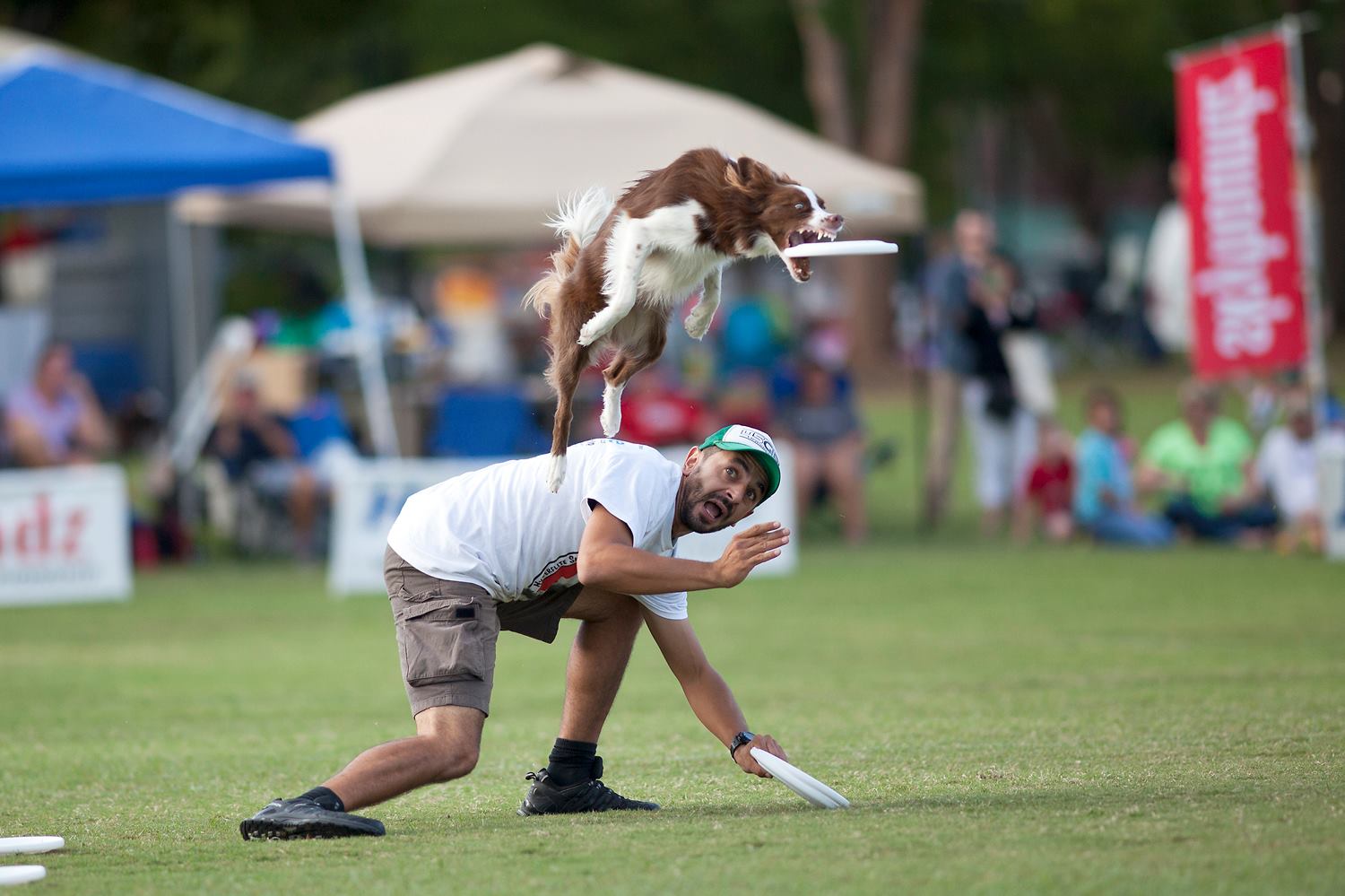 Disc Dog