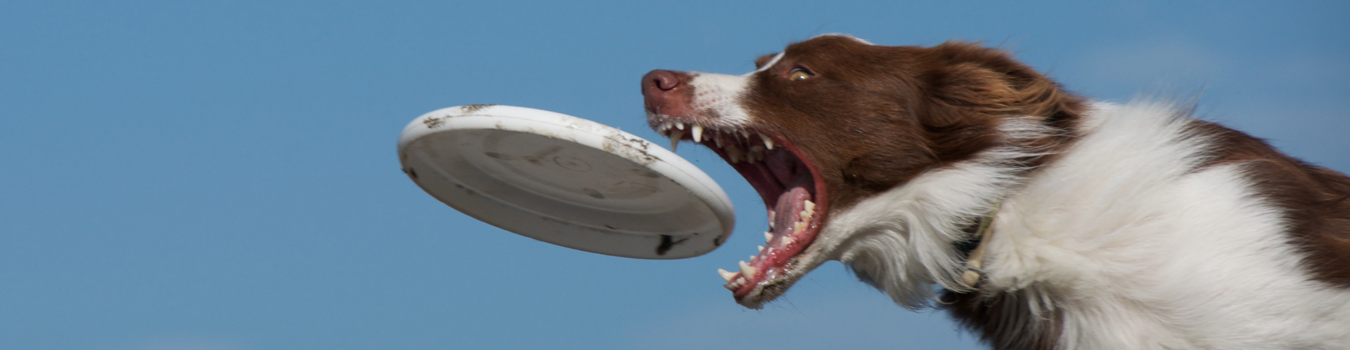 UFO Local Italy: Oltre 1000 Metri