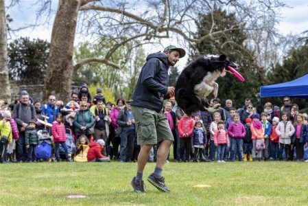 Disc Dog